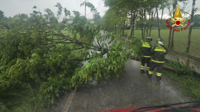 Danni da maltempo nel trevigiano, interventi dei vigili del fuoco Danni da maltempo nel trevigiano, interventi dei vigili del fuoco