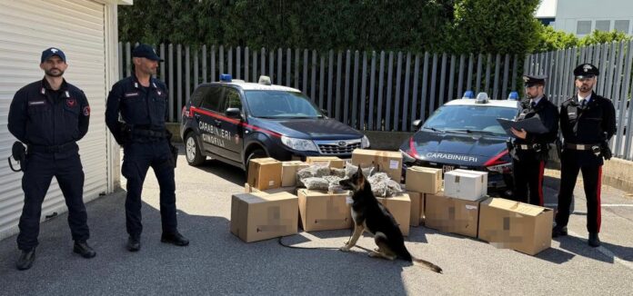 I Carabinieri nel corso dell'operazione antidroga I Carabinieri nel corso dell'operazione antidroga