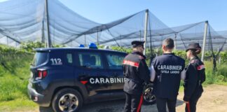 Controlli dei Carabinieri del NIL: scoperti 13 lavoratori “in nero”, sanzioni per 180mila euro Carabinieri del NIL di Treviso in azione