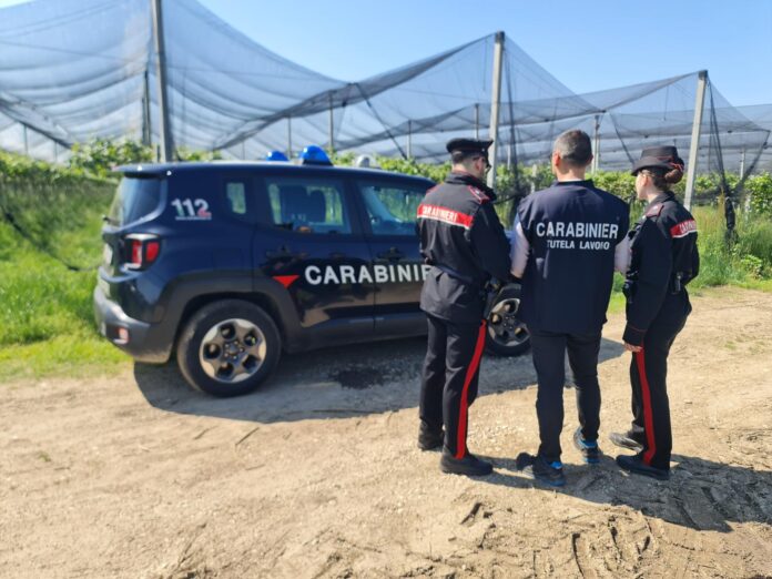 Carabinieri del NIL di Treviso in azione Carabinieri del NIL di Treviso in azione