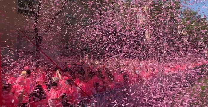 Treviso in Rosa Treviso in Rosa