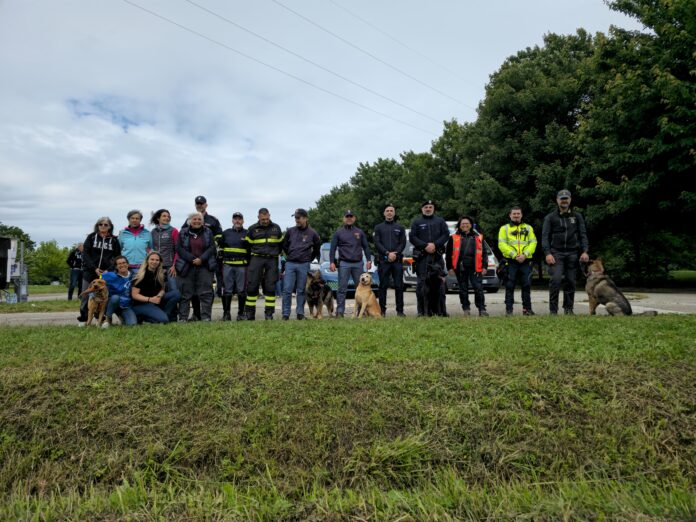 Un amico che scodinzola al Parco di San Giuliano Un amico che scodinzola al Parco di San Giuliano