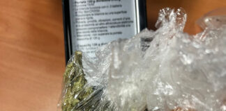 Jesolo, la Polizia locale sequestra marijuana e contanti. Denunciata una donna La marijuana sequestrata dalla Polizia Locale di Jesolo