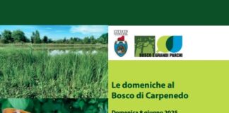 Bosco di Carpenedo: apertura domenica 8 giugno Apertura Bosco di Carpenedo