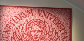 Torna Art Night, la notte dell’arte veneziana Art Night 2025