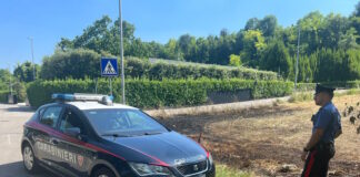Dà fuoco a sterpaglie vicino alle case: arrestato dai Carabinieri Carabinieri di Conegliano vicino alle sterpaglie incendiate