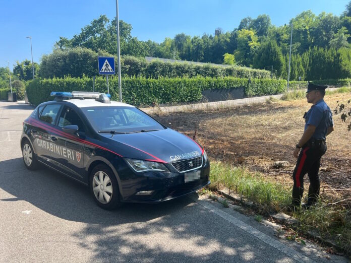 Carabinieri di Conegliano vicino alle sterpaglie incendiate Carabinieri di Conegliano vicino alle sterpaglie incendiate