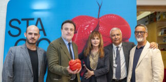 La Fondazione Teatro Stabile del Veneto – Teatro Nazionale presenta la Stagione 25/26 La Fondazione Teatro Stabile del Veneto – Teatro Nazionale presenta la Stagione 25/26: Ogni Storia ha il suo inizio