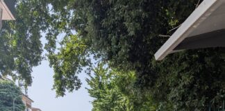 Mestre, tenta di disfarsi della droga e scappa: scoperto e arrestato dai Carabinieri I Carabinieri nei pressi del parco Piraghetto di Mestre