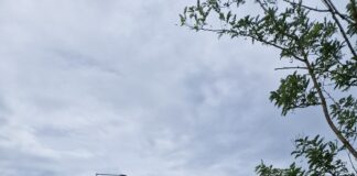 Ciclovia Venezia–Trieste, aperti al transito due nuovi tratti a Jesolo e Cavallino Treporti Ciclovia Venezia–Trieste, aperti al transito due nuovi tratti a Jesolo e Cavallino Treporti