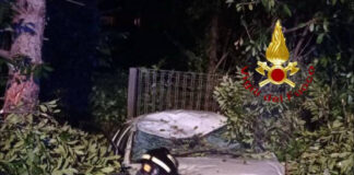 Resana, auto con a bordo 5 ragazzi esce di strada e abbatte un palo della luce Resana, l'auto uscita di strada