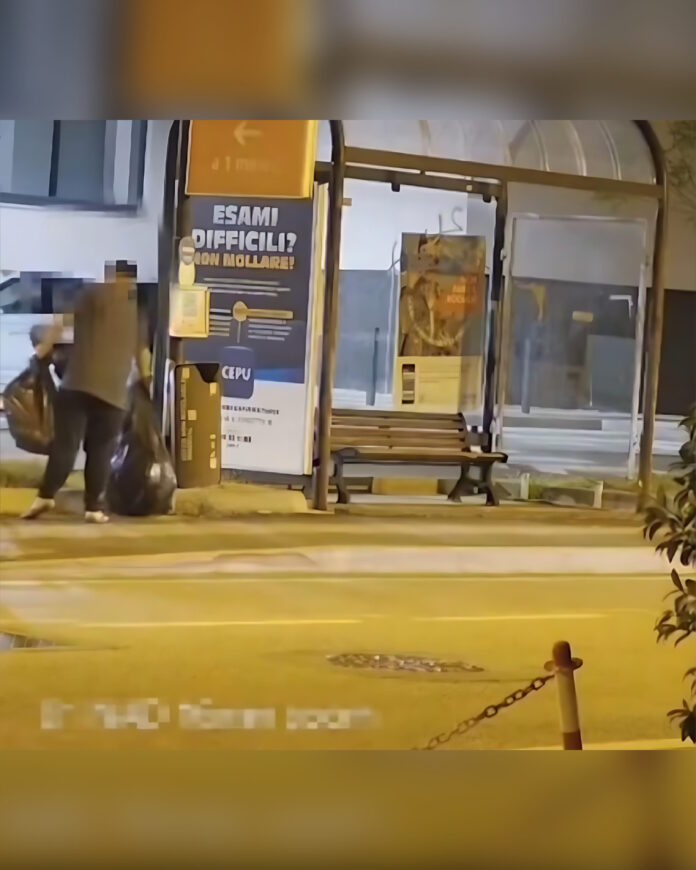 Ecovandali in azione ripresi dalle fototrappole Ecovandali in azione ripresi dalle fototrappole