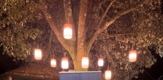 Concluso con successo il concorso “BibiArt” Concorso BibiArt