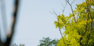 Arriva “Jesolo un mare di bici – un mese di eventi su due ruote” Bici