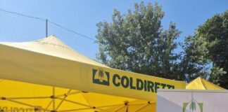 Coldiretti Venezia, raccolta di firme al Lido “Stop cibo falso” Stop Cibo Falso - raccolta firme al mercato agricolo di Lido di Venezia