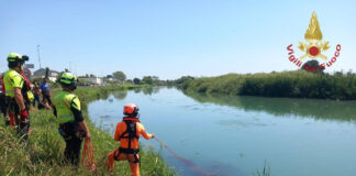 Jesolo, auto finisce nel Sile con un bambino di 5 anni a bordo Intervento dei Vigili del fuoco alle 13 in via Piave a Jesolo per un'auto finita nel fiume Sile
