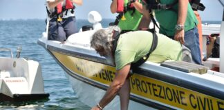 Le tartarughe marine Elena e baby Serenity tornano in mare, liberate agli Alberoni Elena, una delle due tartarughe marine liberate agli Alberoni