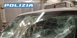 San Vendemiano, furto e danneggiamento in un’impresa di costruzioni: arrestato un cittadino albanese dalla Polizia di Stato San Vendemiano, furto e danneggiamento in un'impresa di costruzioni