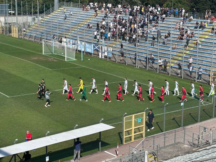 Treviso FBC-Luparense - foto Notizieplus Treviso FBC-Luparense - foto Notizieplus