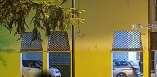 Un altro ecovandalo individuato in via Campania e sanzionato Via Campania, un ecovandalo abbandona i rifiuti