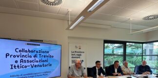 Fiume Piave: al via la Collaborazione tra Provincia e Associazioni Ittico-Venatorie per Sensibilizzare i Cittadini sul Divieto di Balneazione Fiume Piave: al via la Collaborazione tra Provincia e Associazioni Ittico-Venatorie per Sensibilizzare i Cittadini sul Divieto di Balneazione