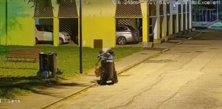 Ecovandalo abbandona rifiuti in via Campania: multa di 400 euro L'ecovandalo mentre abbandona i rifiuti in via Campania