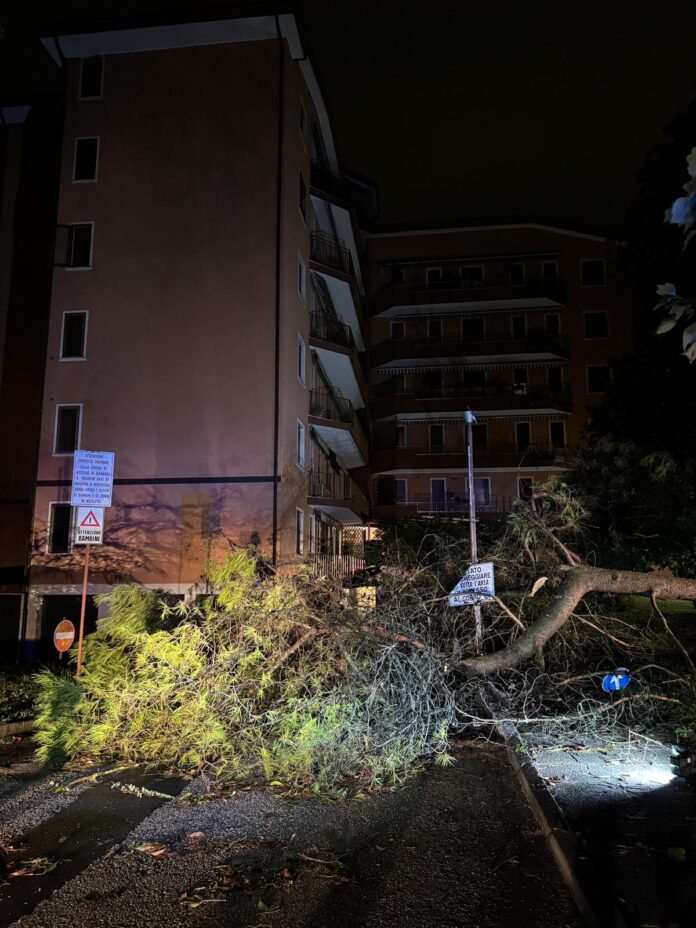 Maltempo a Treviso, danni in via Ghirlanda Maltempo a Treviso, danni in via Ghirlanda