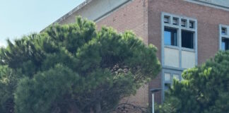 Turista accoltellata a Sottomarina, i Carabinieri portano in carcere il presunto aggressore Carabinieri di Chioggia