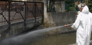Interventi di disinfestazione straordinaria a seguito di un caso di infezione da virus Chikungunya Disinfestazione - foto dal sito del Comune di Venezia