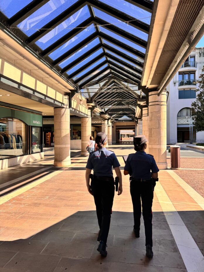 Carabinieri di Conegliano in azione Carabinieri di Conegliano in azione