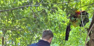 A Marghera un nuovo intervento di sgombero da parte della Polizia Locale Polizia Locale di Venezia nel corso di uno sgombero in via Carrer a Marghera