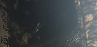 I Margherini DOC lanciano un appello per la ex bidella della Grimani che ha perso tutto nell’incendio La casa distrutta nell'incendio