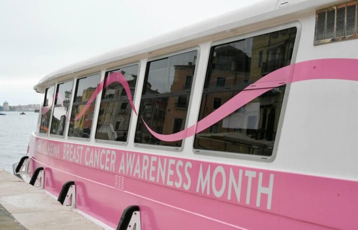 Il Vaporetto Rosa Il Vaporetto Rosa