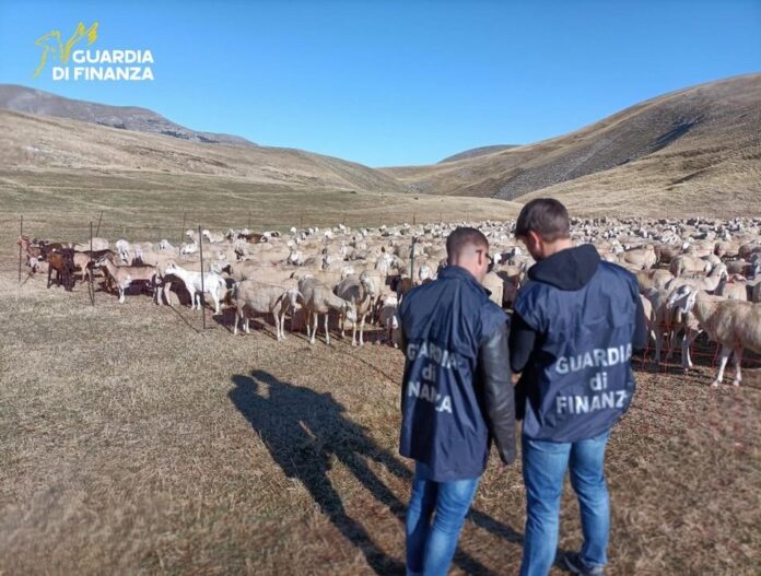 Indagini della Guardia di Finanza sulla Politica Agricola Comune Indagini della Guardia di Finanza sulla Politica Agricola Comune