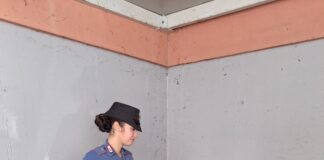 Coltivava marijuana: arrestato 54enne di Villorba I Carabinieri della Stazione di Villorba con la marijuana sequestrata