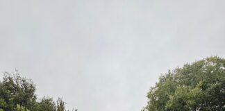 Sorpreso con mezzo etto di hashish, denunciato dalla Polizia di Stato Polizia di Stato di Treviso