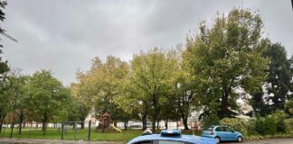 La Polizia di Stato denuncia un 20enne per possesso di armi e ricettazione Polizia di Stato di Treviso