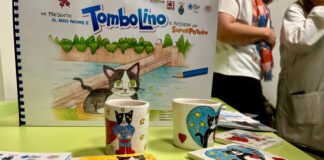Ecco “Tombolino”, storia di un micio ipovedente alla Pediatria di Mestre Tombolino