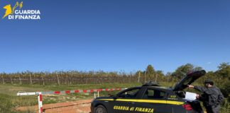 Vendemmia del Prosecco DOCG, somministrati illecitamente 18 lavoratori: due denunce Vendemmia 2025, controlli della Guardia di Finanza di Treviso