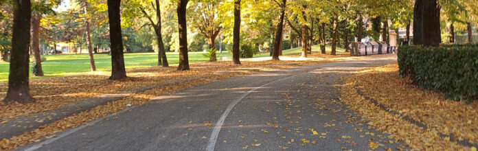 Foglie a terra sulle strade di Noale Foglie a terra sulle strade di Noale