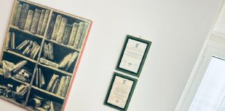 Canniello (Confesercenti Venezia Rovigo): “Sulla questione sicurezza serve una strategia integrata” Alvise Canniello, direttore Confesercenti Venezia Rovigo