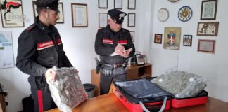 Marijuana per 40mila euro nascosta nel trolley, arrestato 33enne I Carabinieri con il trolley dove è stata nascosta la marijuana
