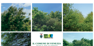 Il Comune di Venezia dona 1.100 alberi ai cittadini sabato 15 e domenica 16 novembre Il Comune di Venezia dona alberi