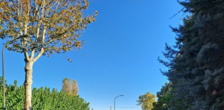 Pronta la nuova pista ciclopedonale nel quartiere di Monigo Pista ciclopedonale di Monigo