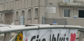 Girasoli per ricordare Valeria Solesin, oggi la cerimonia pubblica Ponte Valeria Solesin con i girasoli