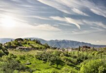 Al via il Patentino dell’Ospitalità Terre di Asolo e Monte Grappa Terre di Asolo e Monte Grappa