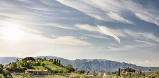 Al via il Patentino dell’Ospitalità Terre di Asolo e Monte Grappa Terre di Asolo e Monte Grappa