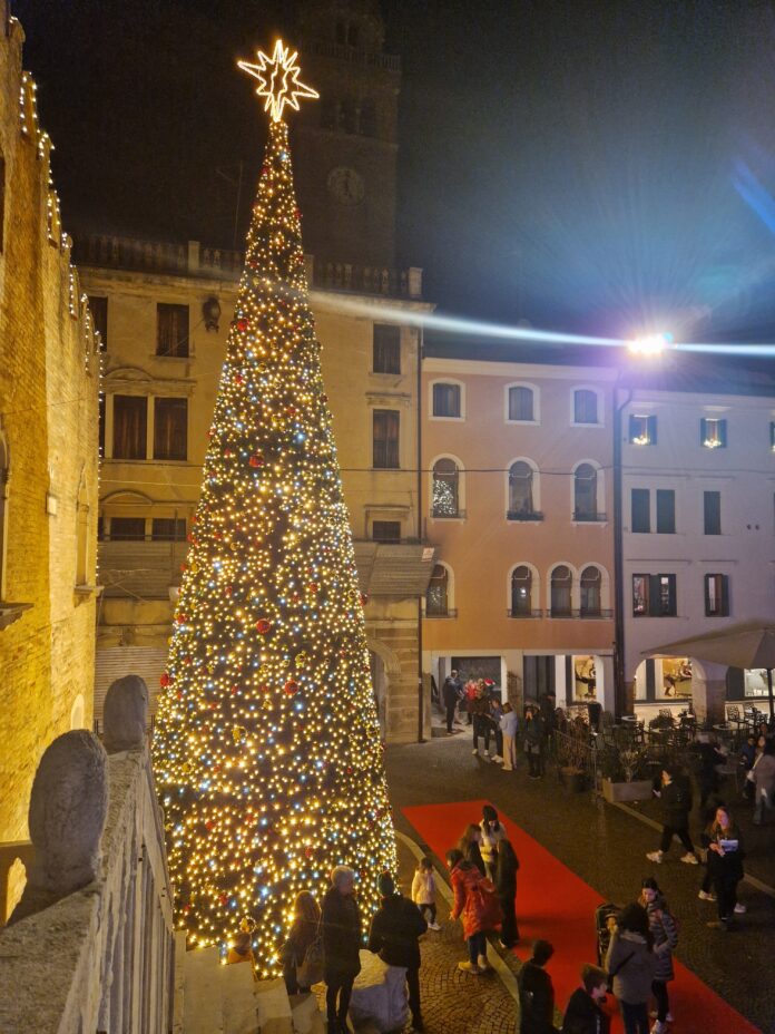 Albero natalizio in piazza a Portogruaro Albero natalizio in piazza a Portogruaro