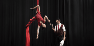 Teatro del Parco: per il Natale arriva “Christmas al TOP” Christmas al Top, uno spettacolo