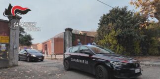 Blitz dei Carabinieri tra Lido di Venezia, Mestre e Cavallino Treporti: 2 arresti e 3 denunce I Carabinieri di Mestre
